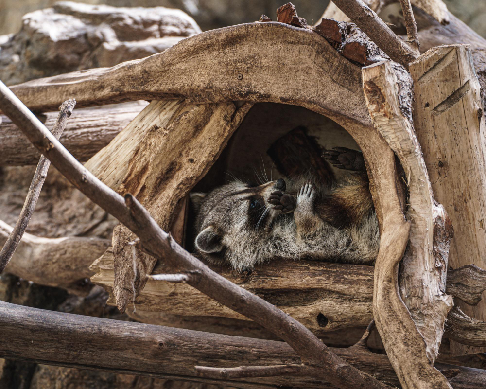 montreal biodome