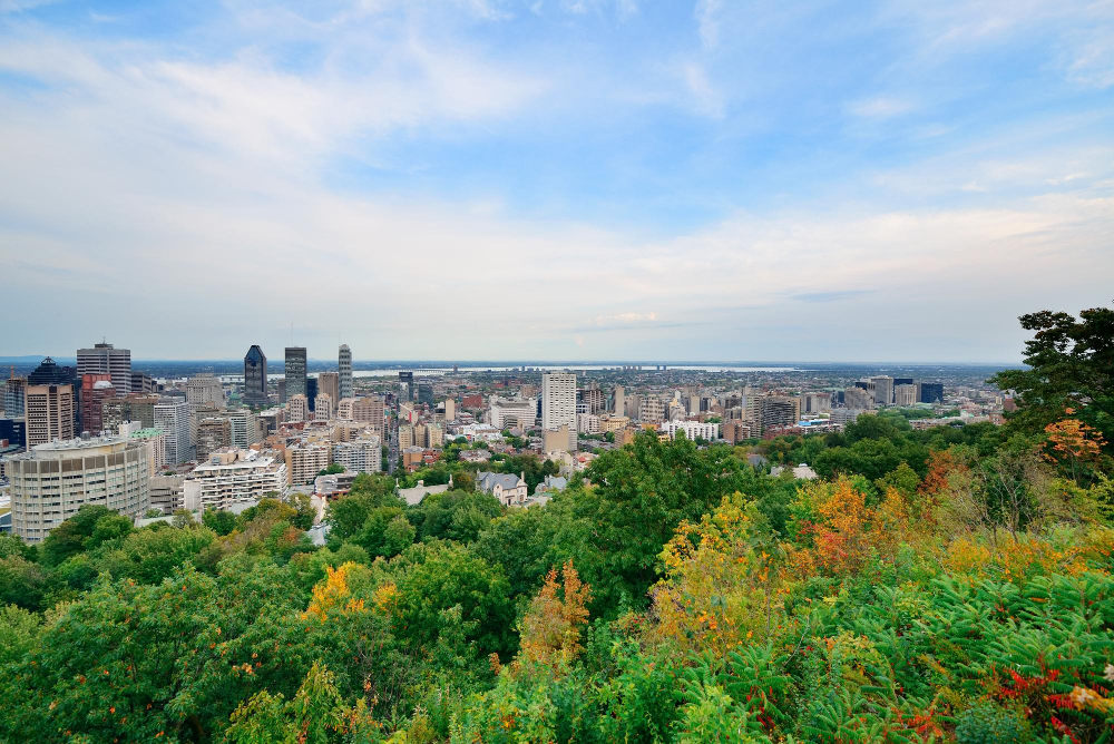 montreal day view from mont royal with city skyline