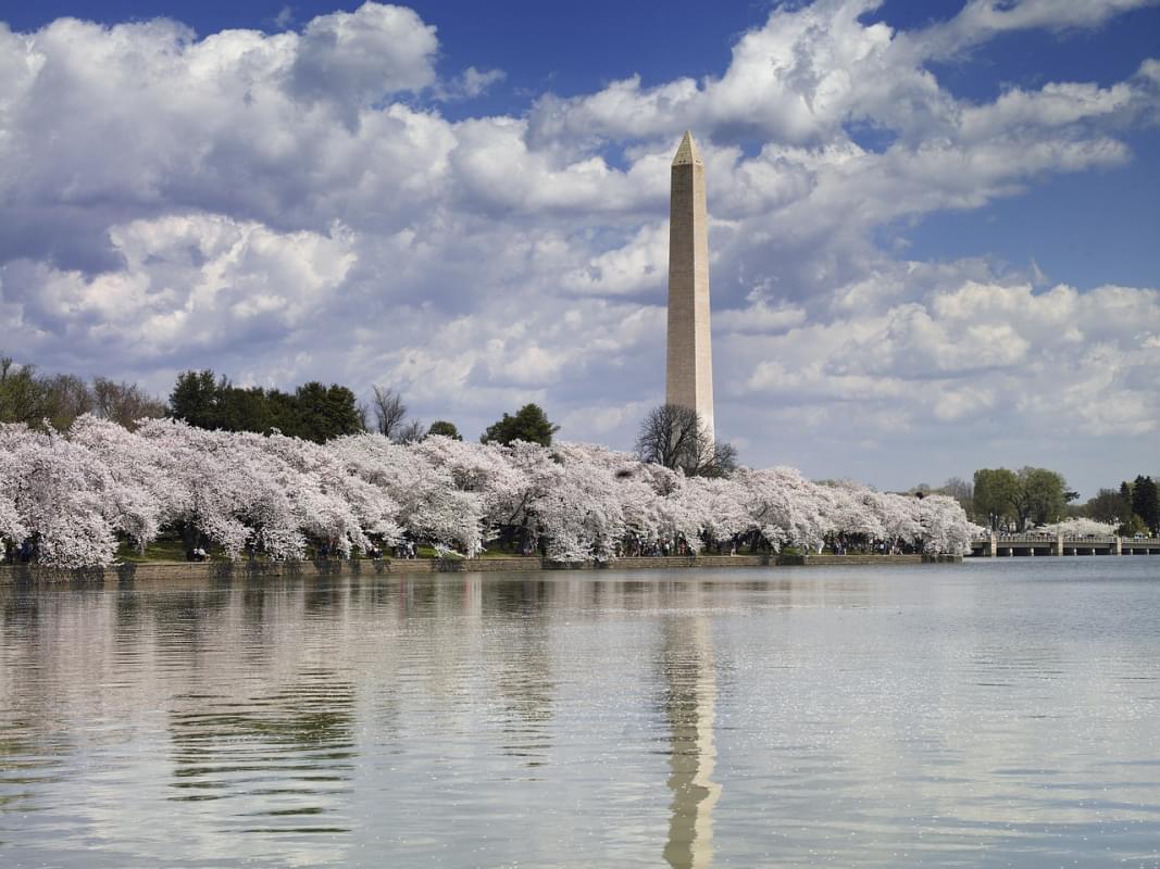 monumento a washington 1 1