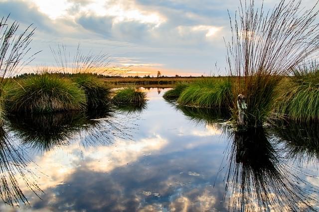 Riserva naturale di Zwin