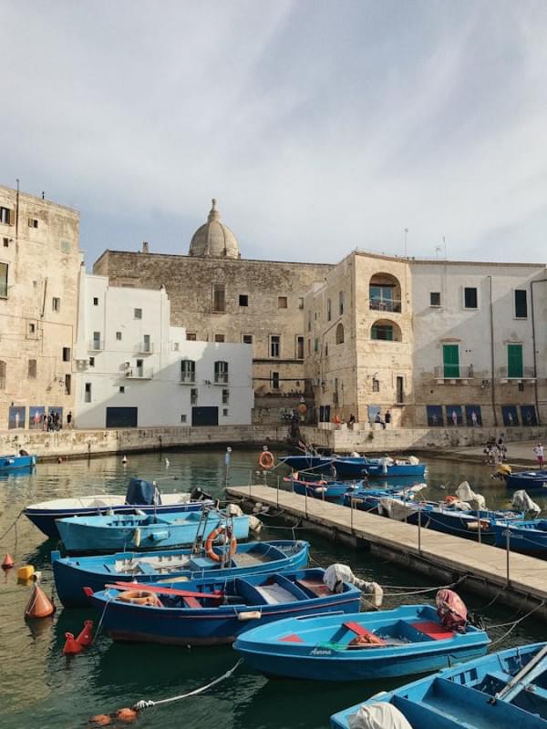 moored boats on dock