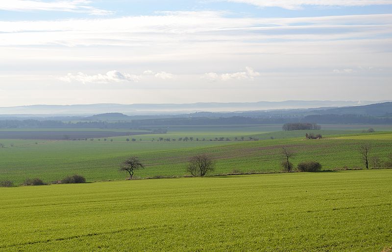 7 green fields of moravia