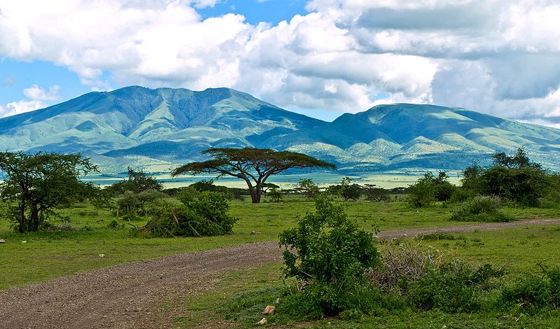 gnu serengeti tanzania