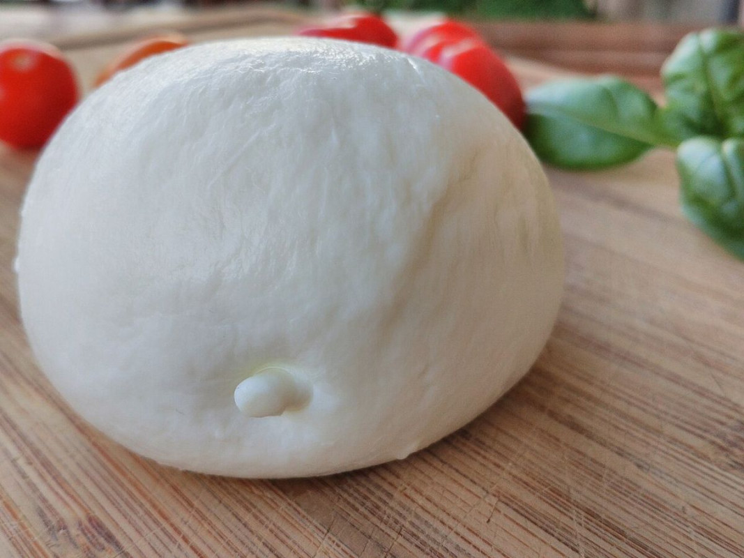 mozzarella bufala agropoli - foto di popo le chien
