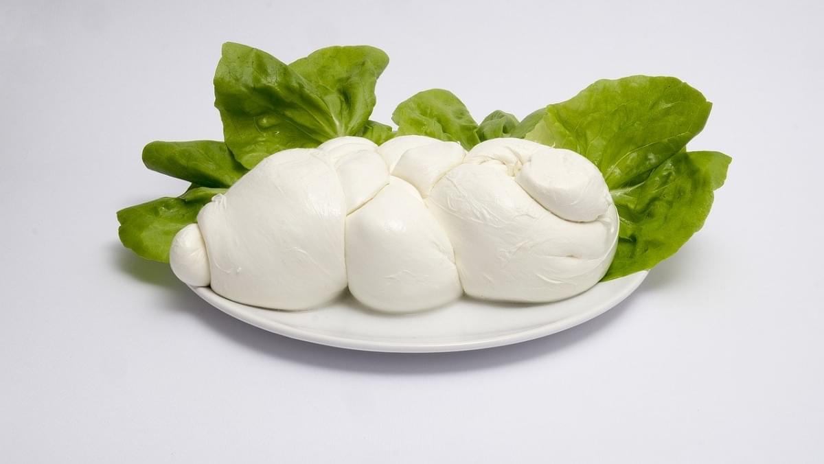 mozzarella di bufala treccia