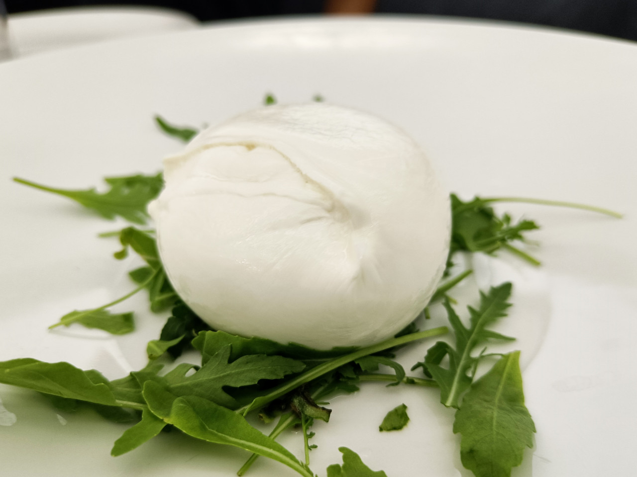 mozzarella di bufala