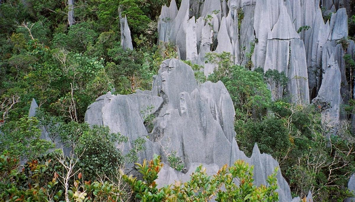 mulu national park malesia