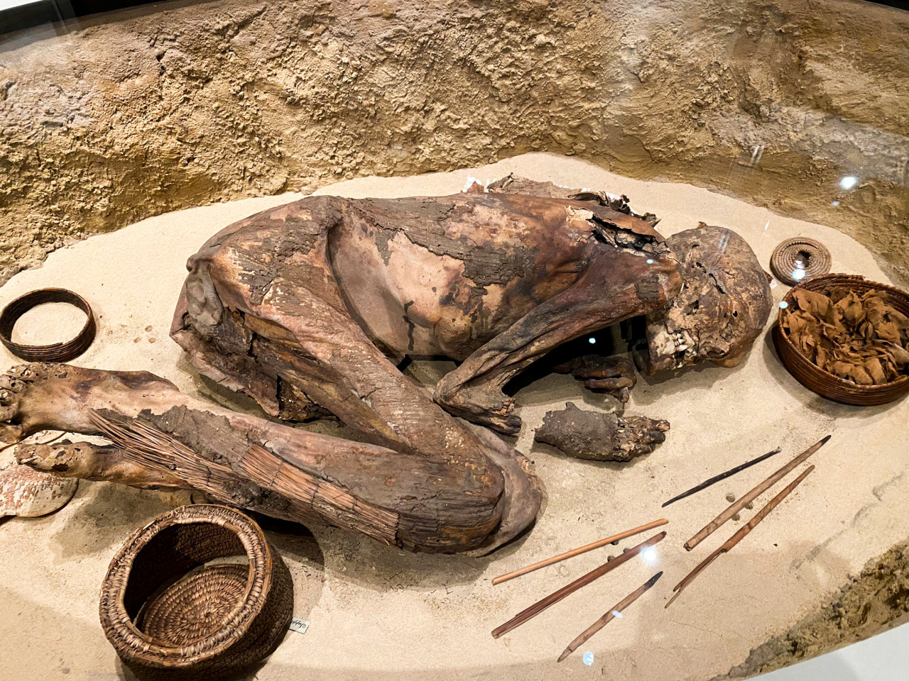 mummia predinastica