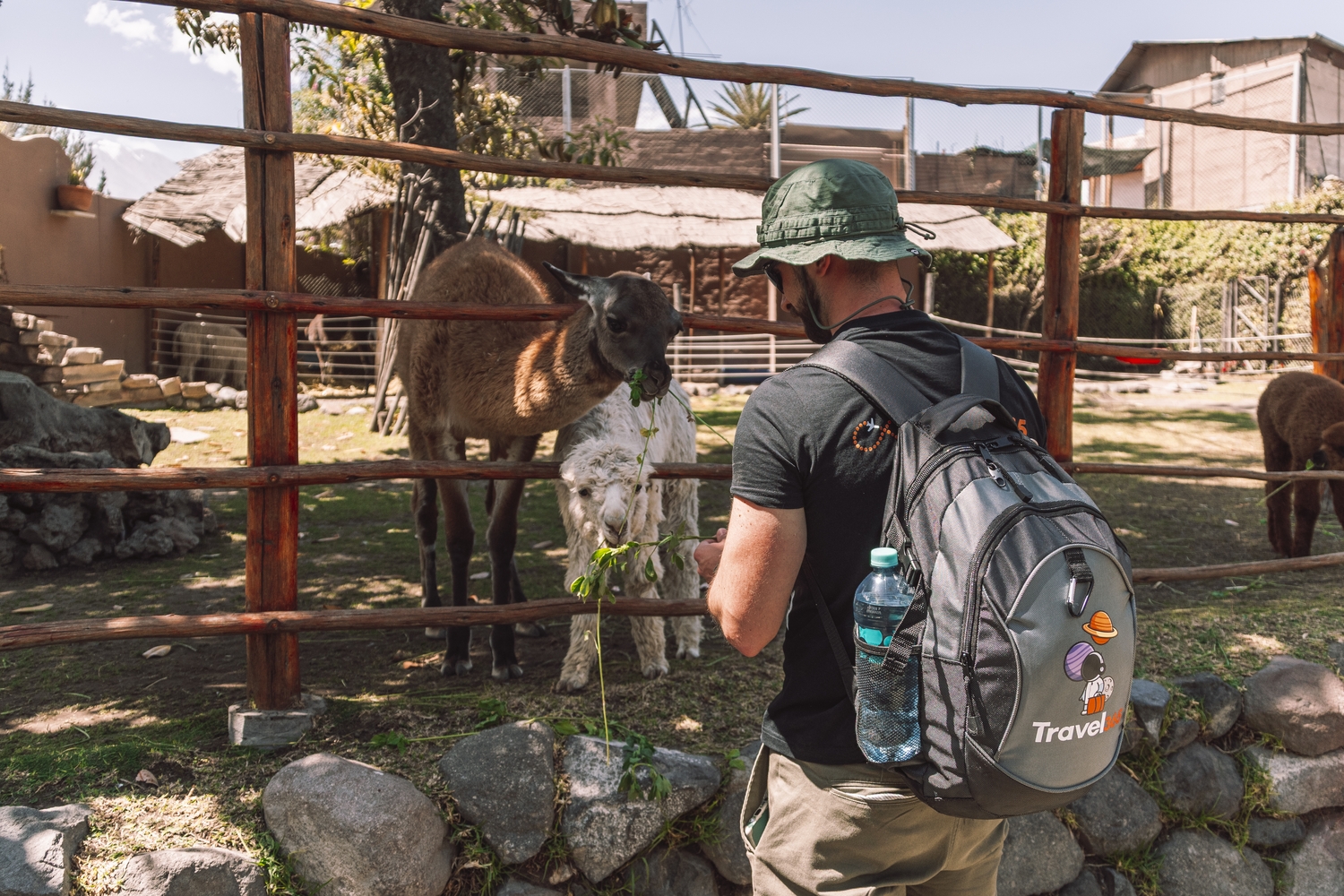 mundo alpaca1500