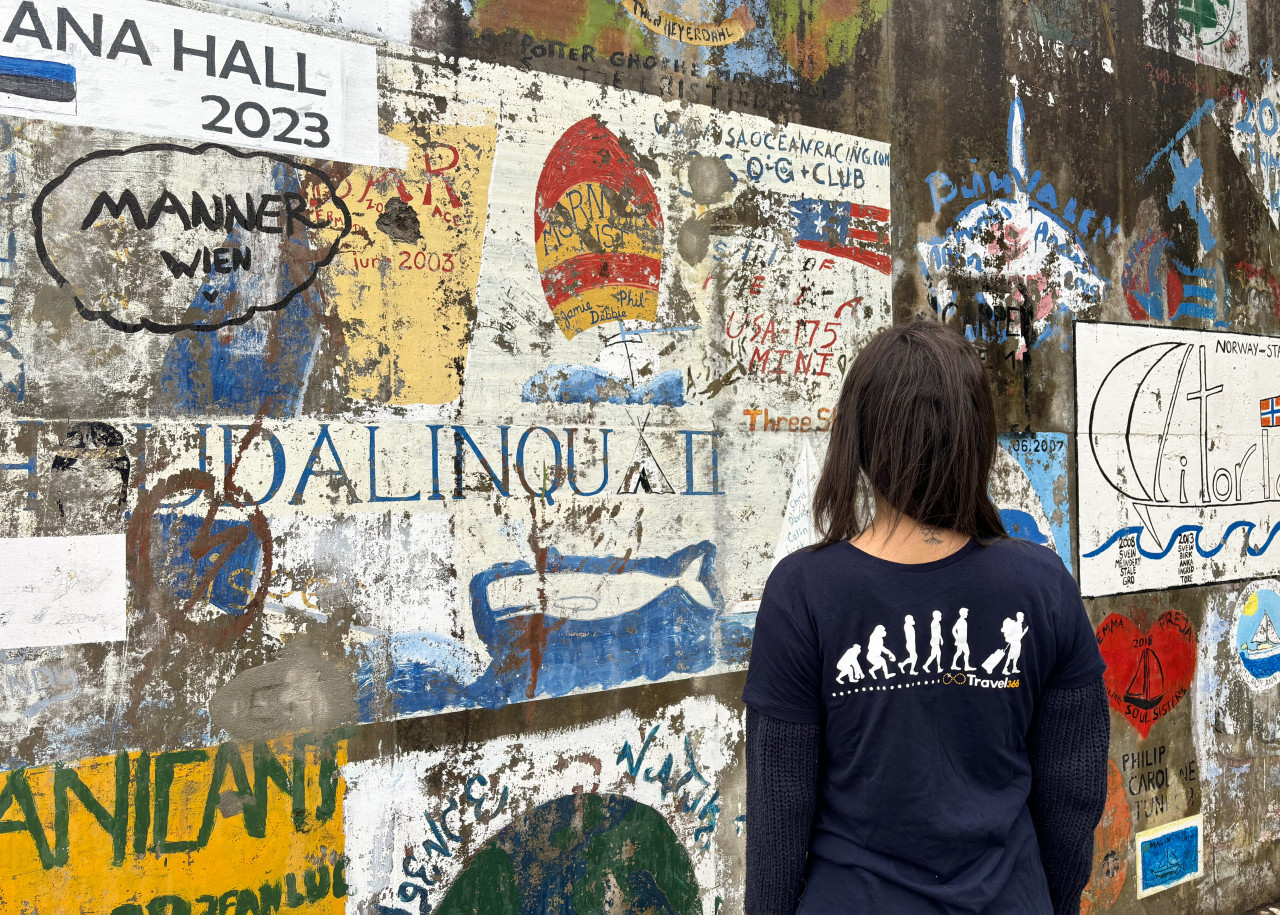 murales horta fajal