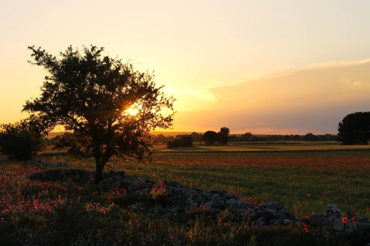 murgia puglia apulia panorama ruvo