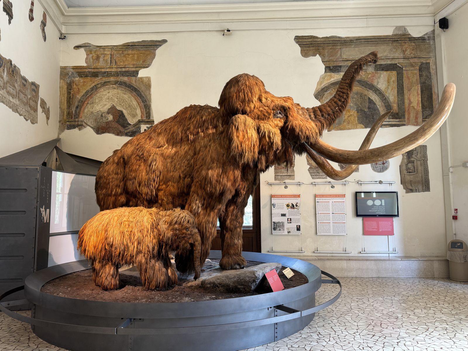 museo scienze naturali 1 risultato 2