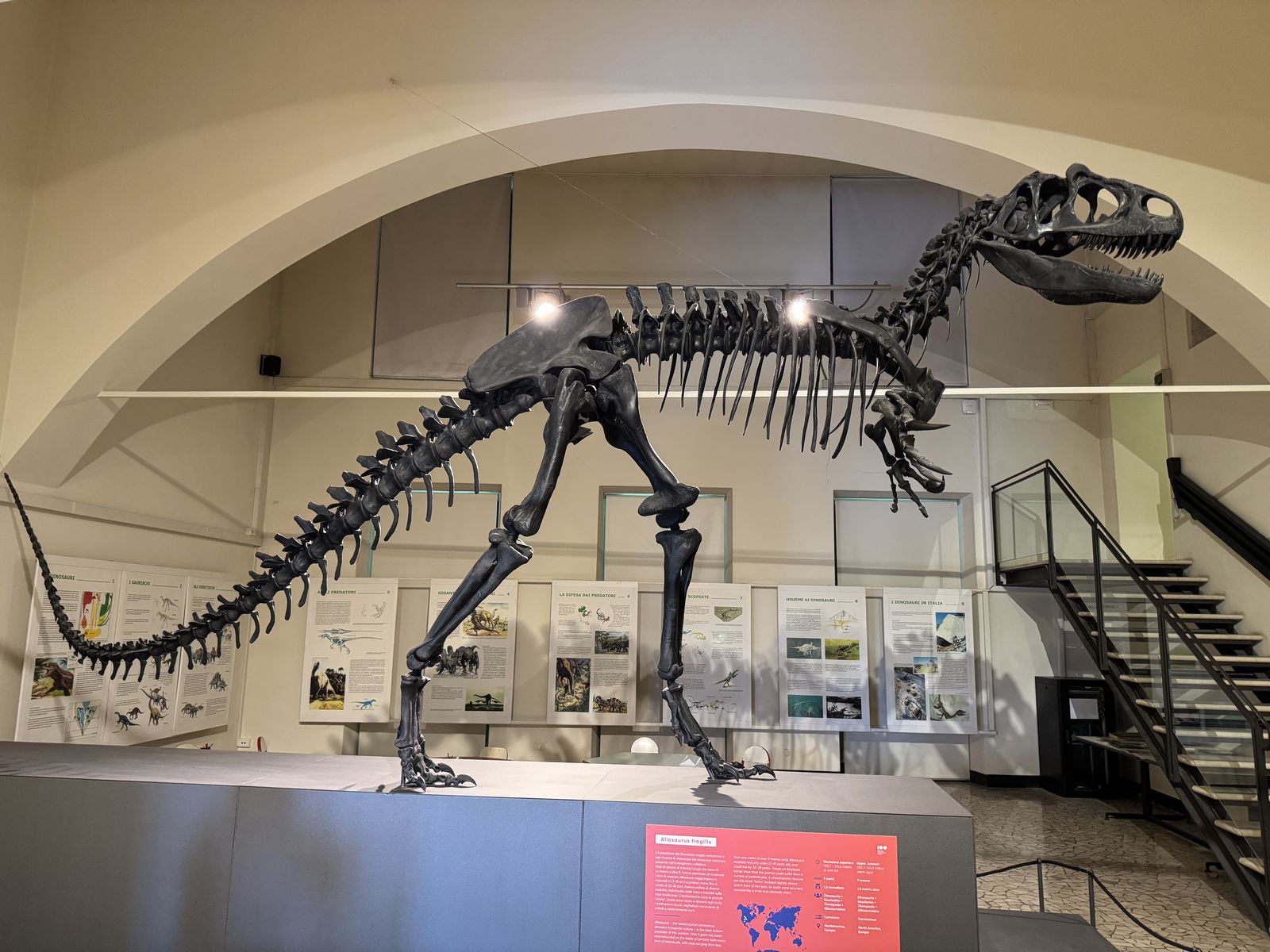 museo scienze naturali 9 risultato