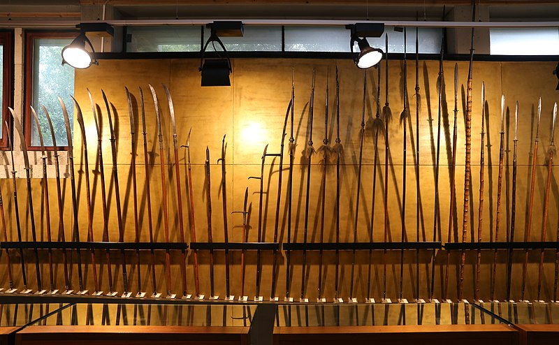 museo siamese cagliari