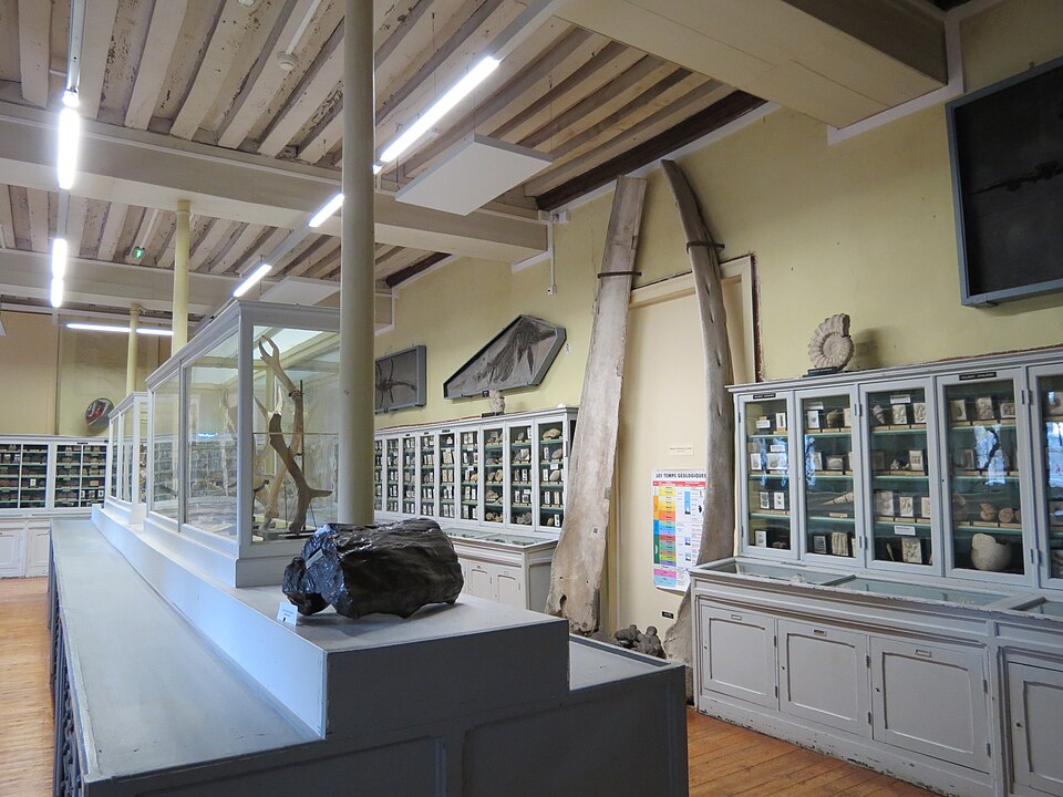 museum d histoire naturelle de rouen 08