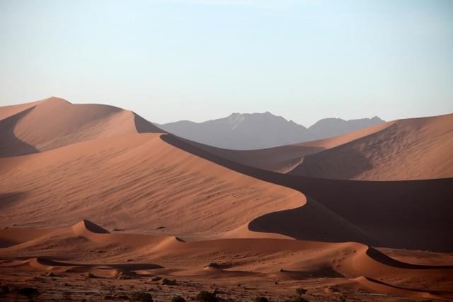 namib(1)