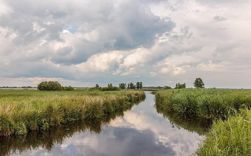 nationaal park weerribben wieden