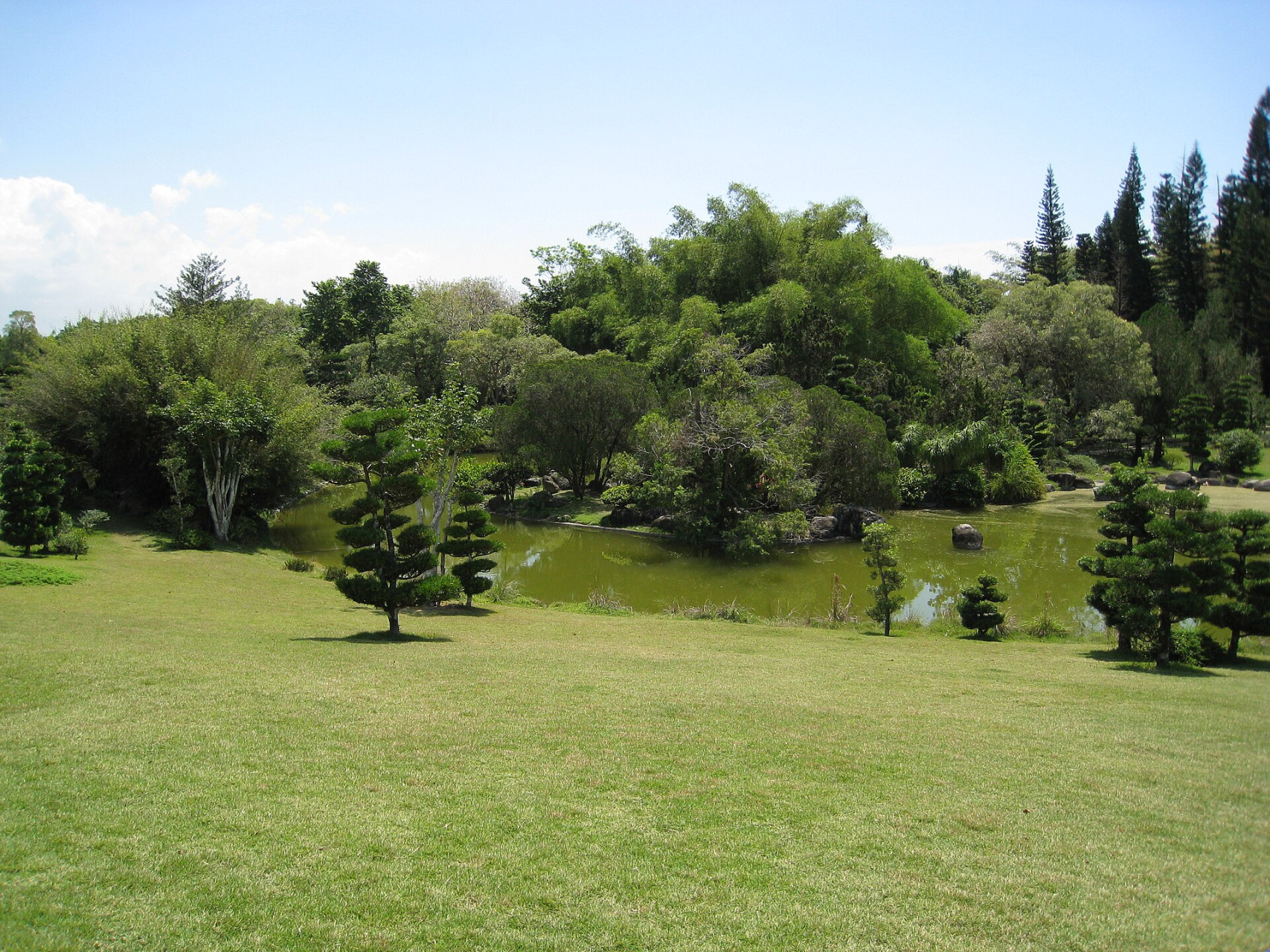 national botanical garden santo domingo japanese garden