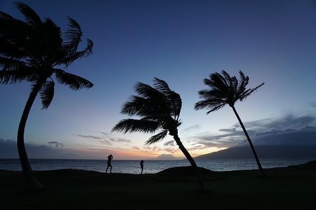 natura panorama maui hawaii