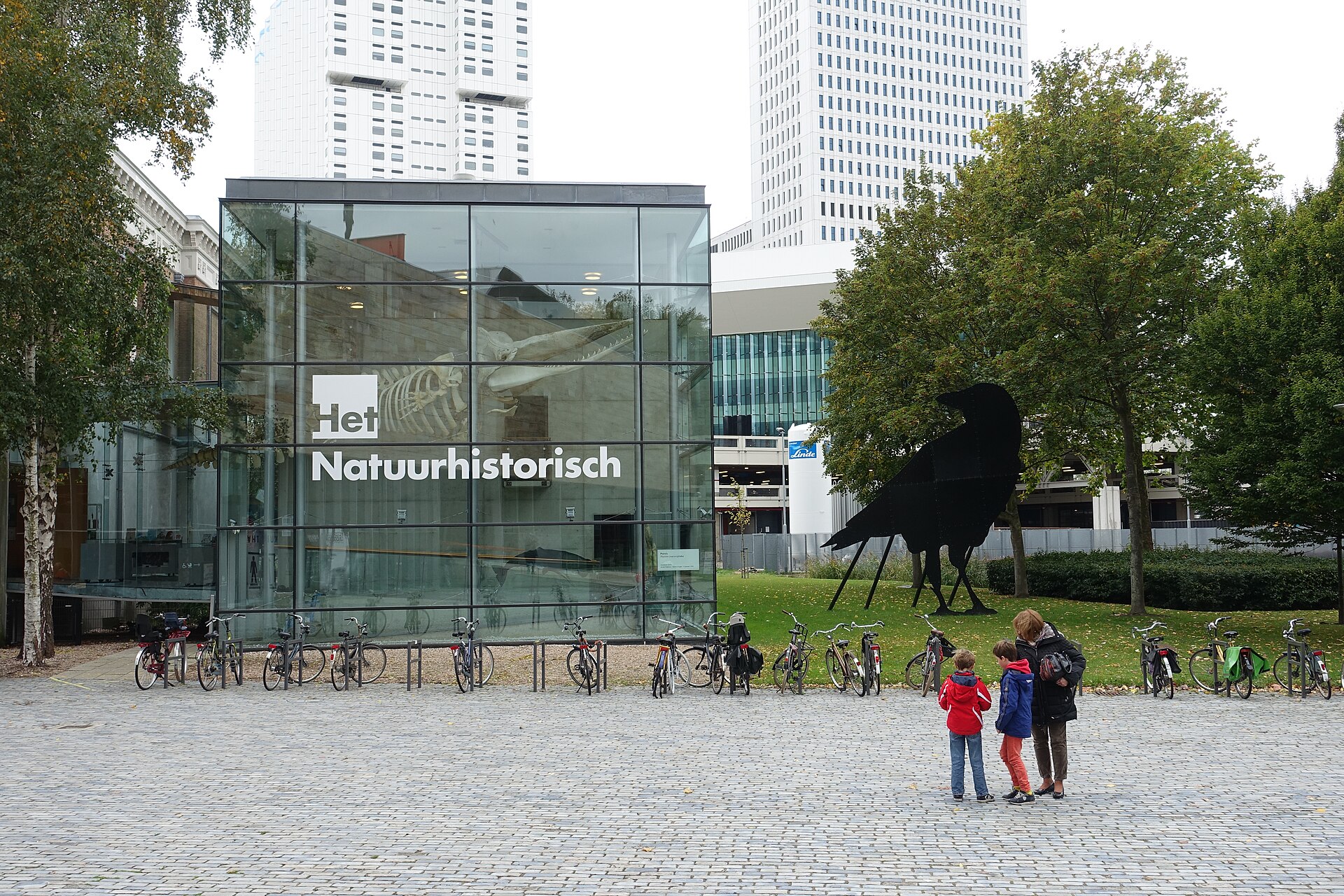 natuurhistorisch museum rotterdam 29949323453