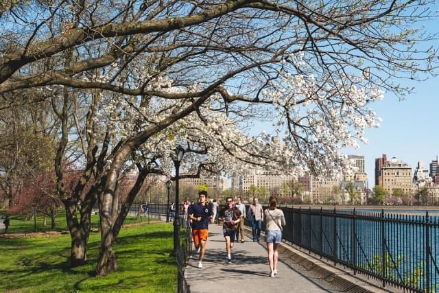 new york city central park primavera