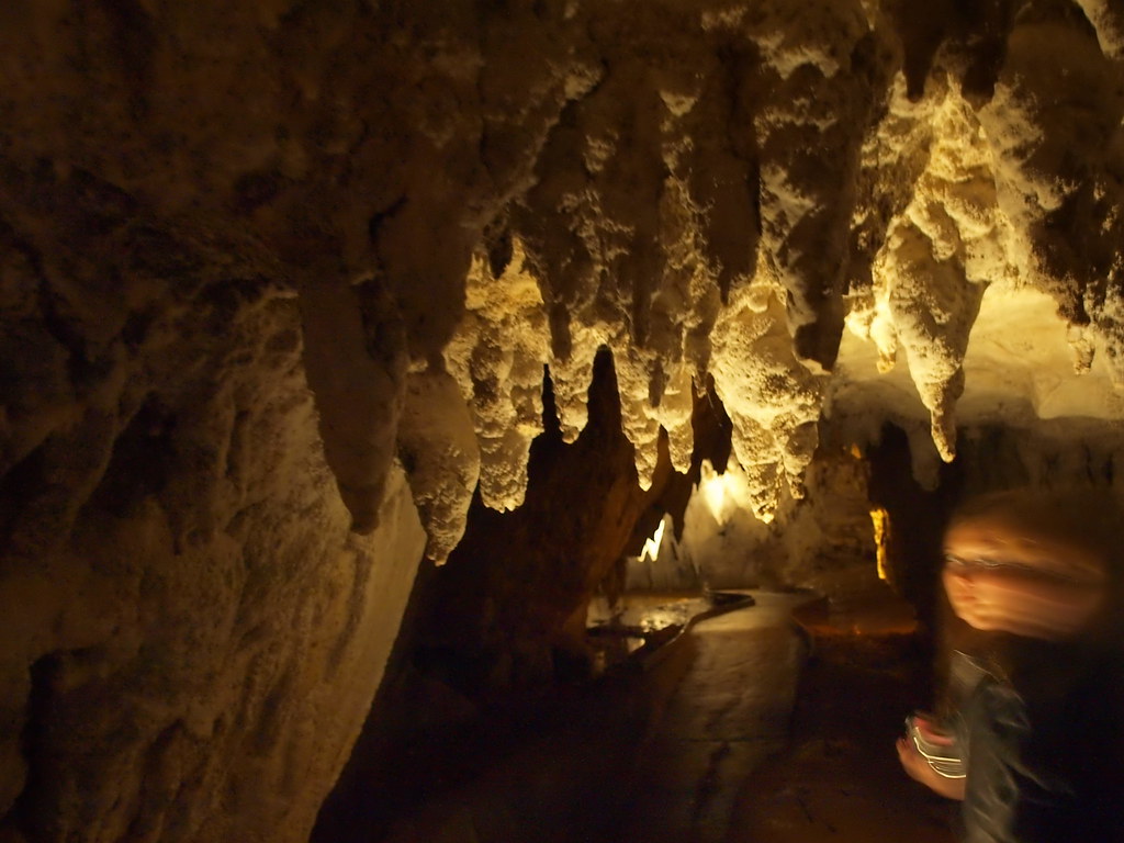 new zealand waitomo caves