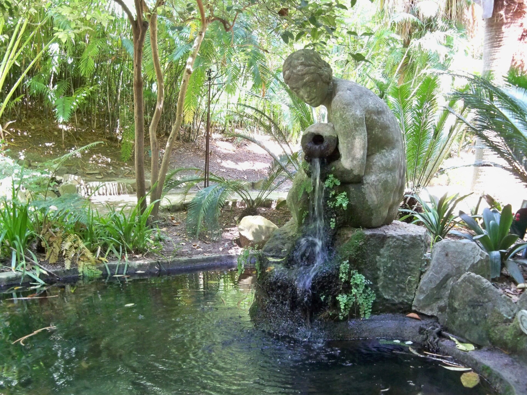 ninfadeljardinbotanico historicolaconcepcion