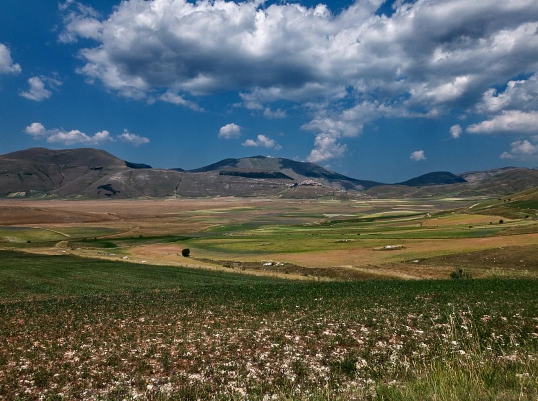 Norcia Castelluccio Lenticchia