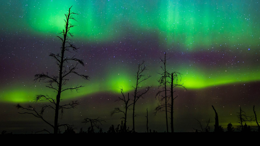 Aurora dalle Isole Svalbard