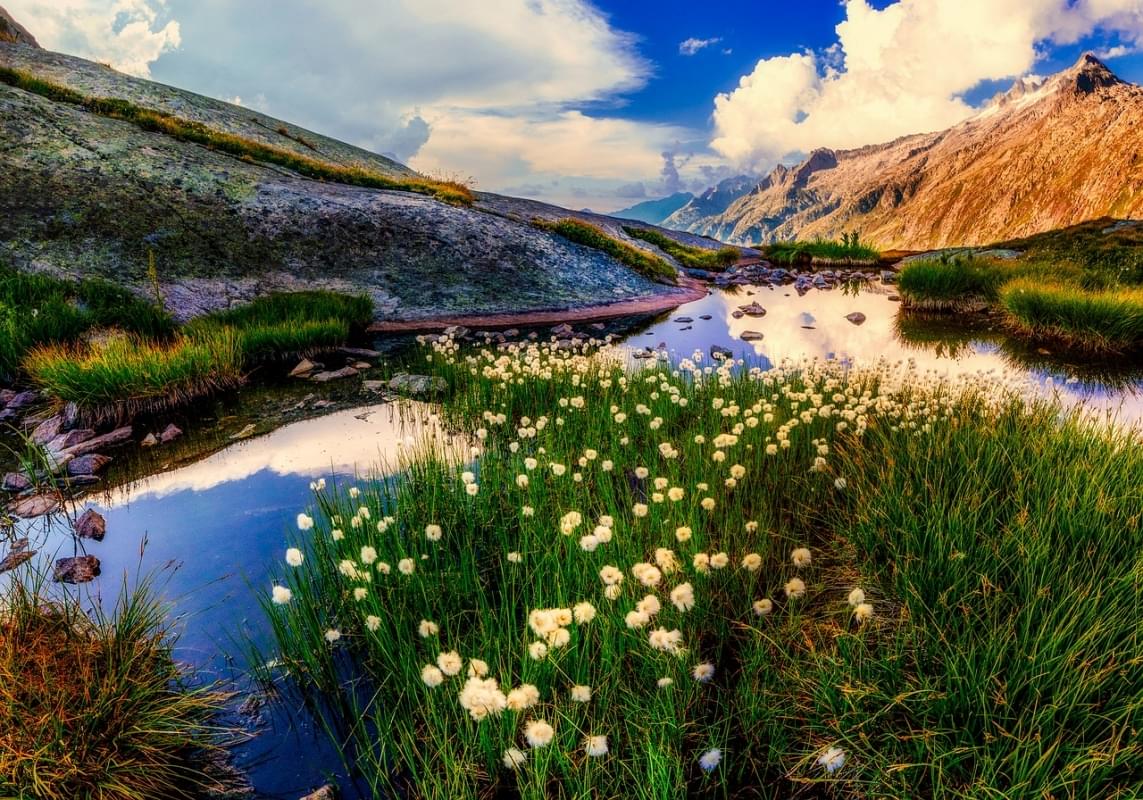 nuova zelanda panorama