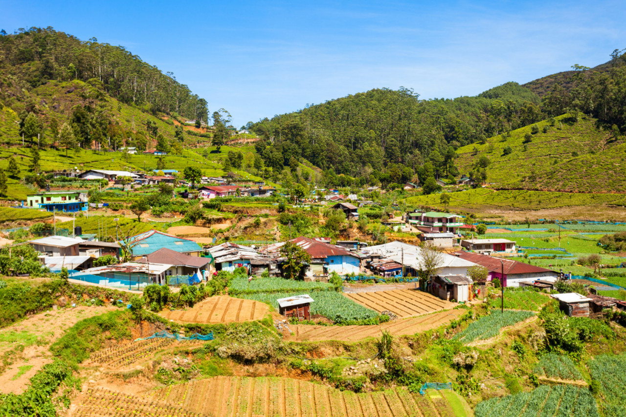 nuwara eliya city view