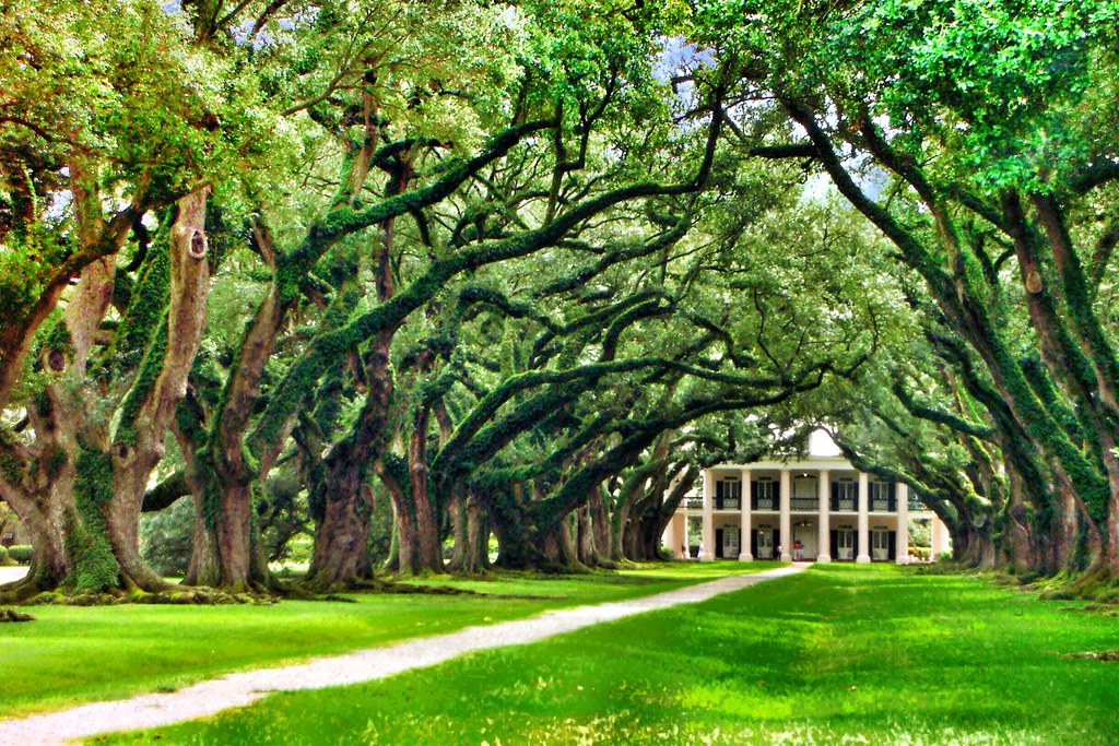 oak alley plantation louisiana