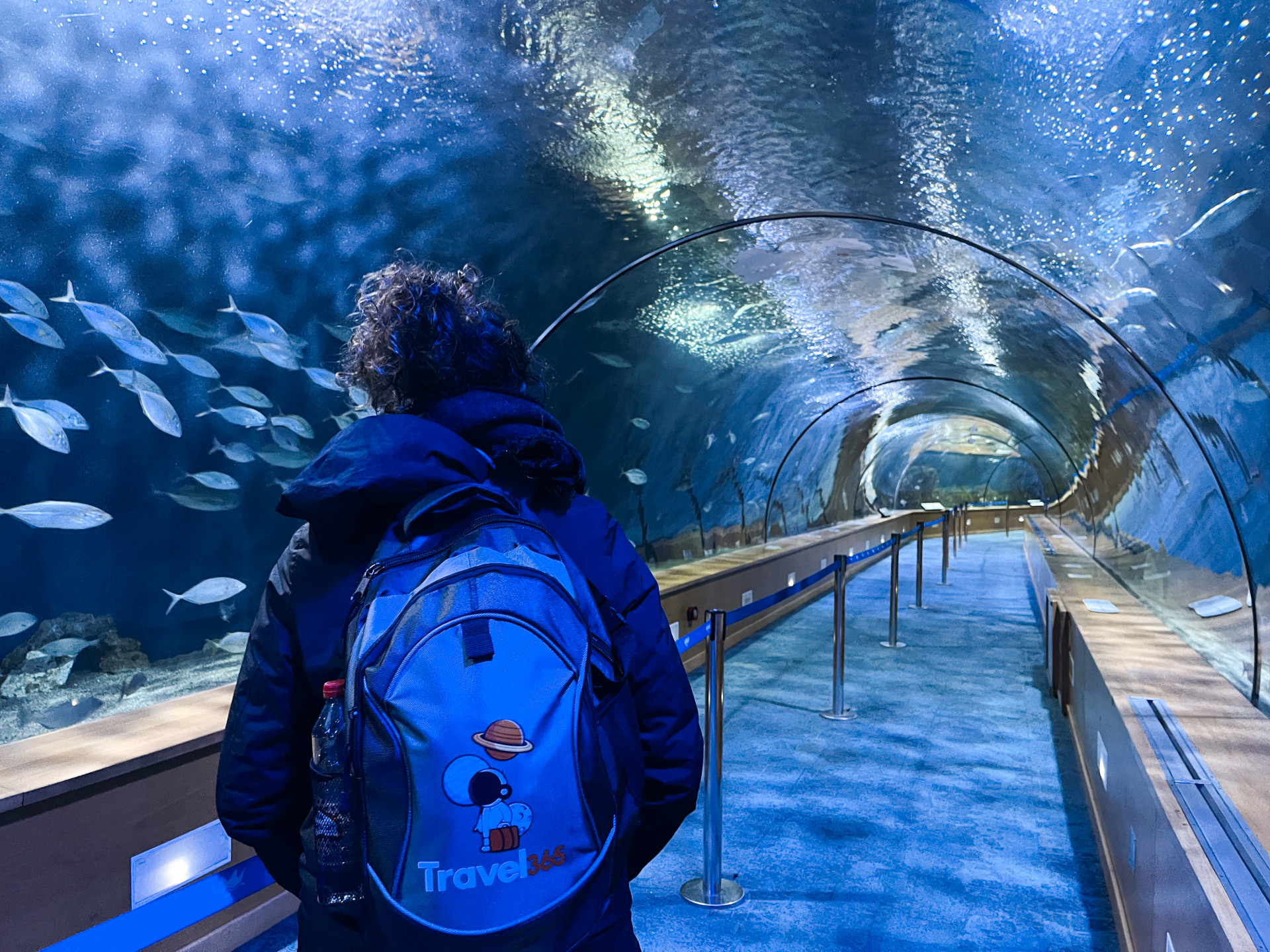 oceanographic orizz risultato