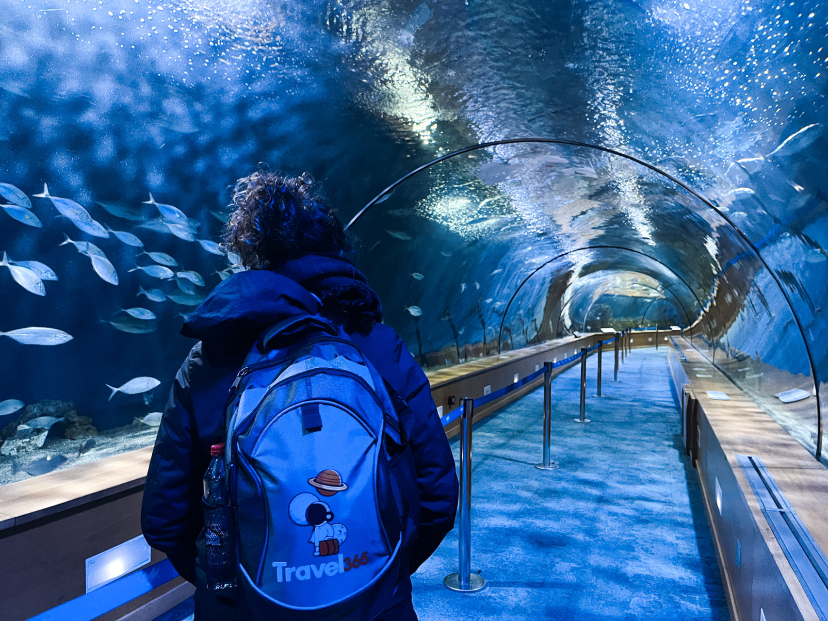 oceanographic orizzrisultato