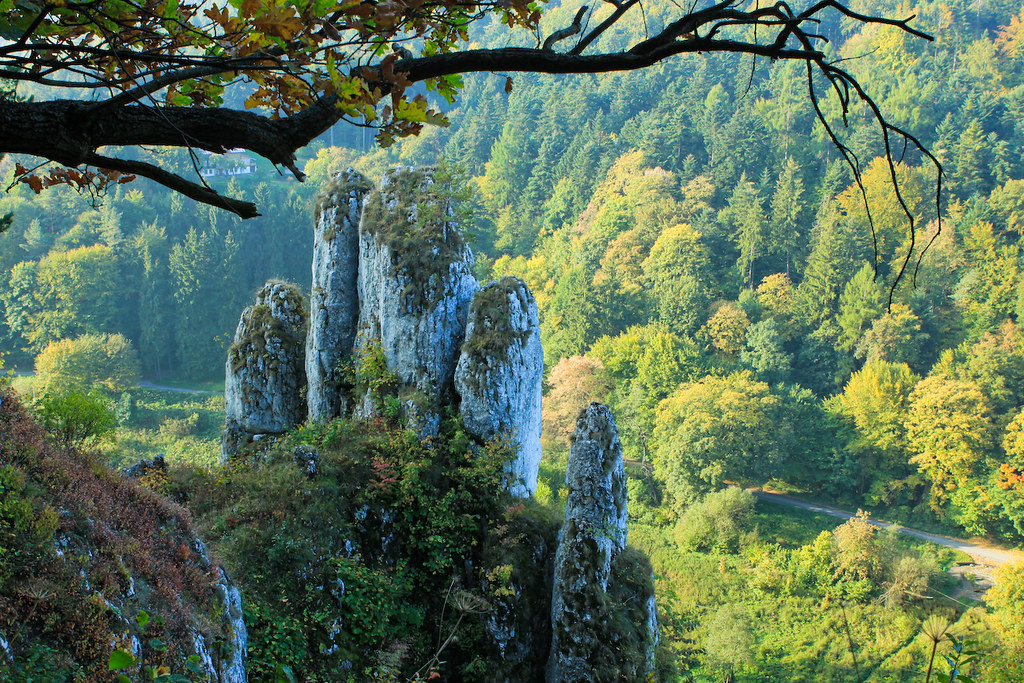 ojcowski park narodowy ojca w national park poland