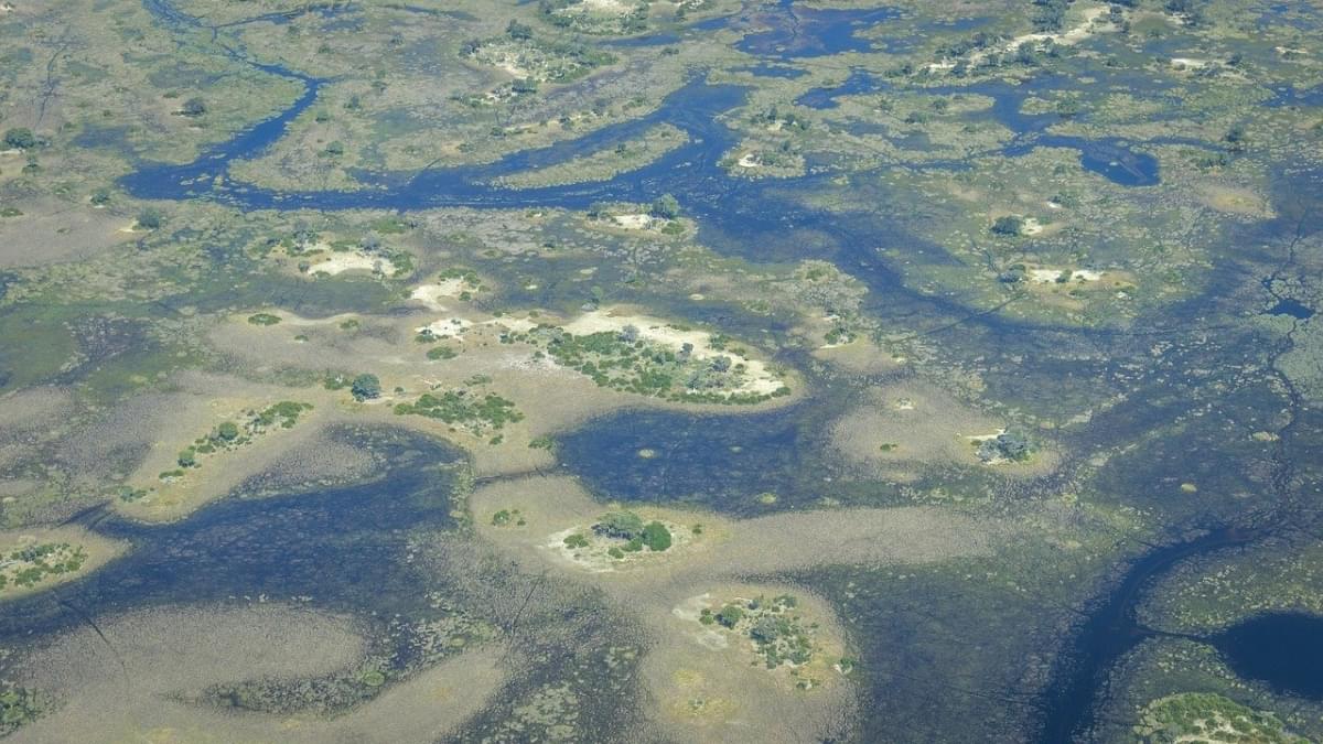 Okavango Delta Africa Botswana