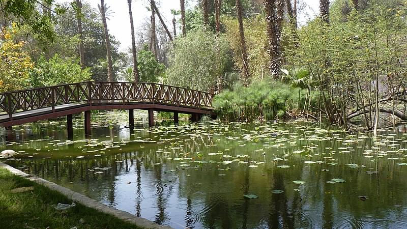 orman garden lotus pond 01