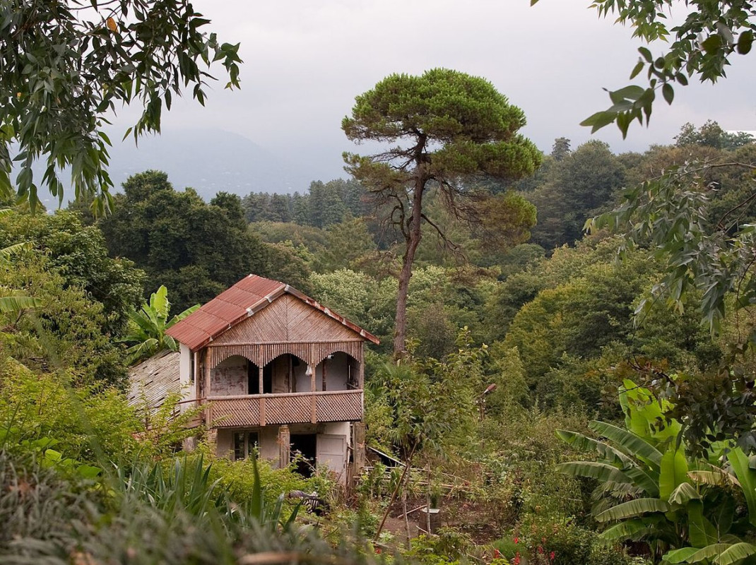 orto botanico batumi - foto di gytis from lithuania