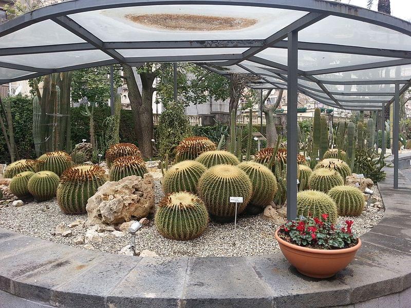 orto botanico di catania