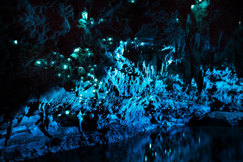 otorohanga waitomo glowworm caves
