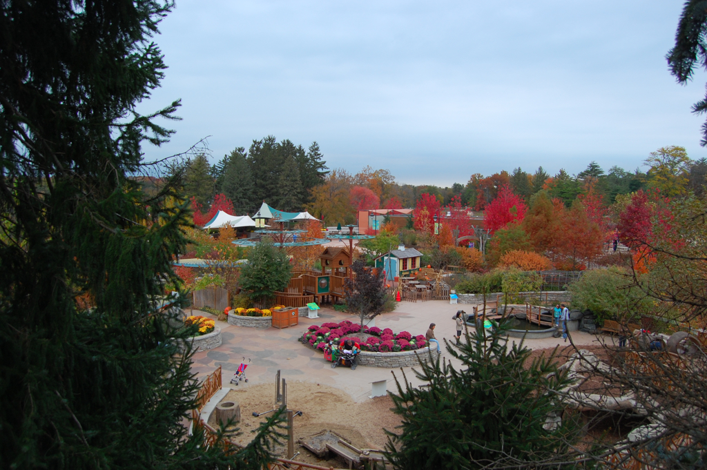 Colori autunnali tra i viali alberati del Morton Arboretum a Lisle.