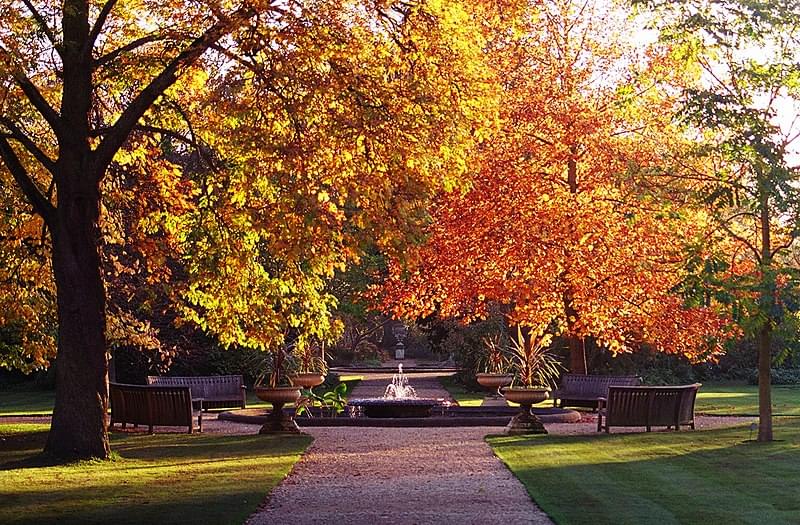 oxford botanic garden