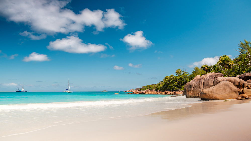 palm e spiaggia tropicale panorama anse lazio beach all isola di praslin seychelles a lunga esposizione