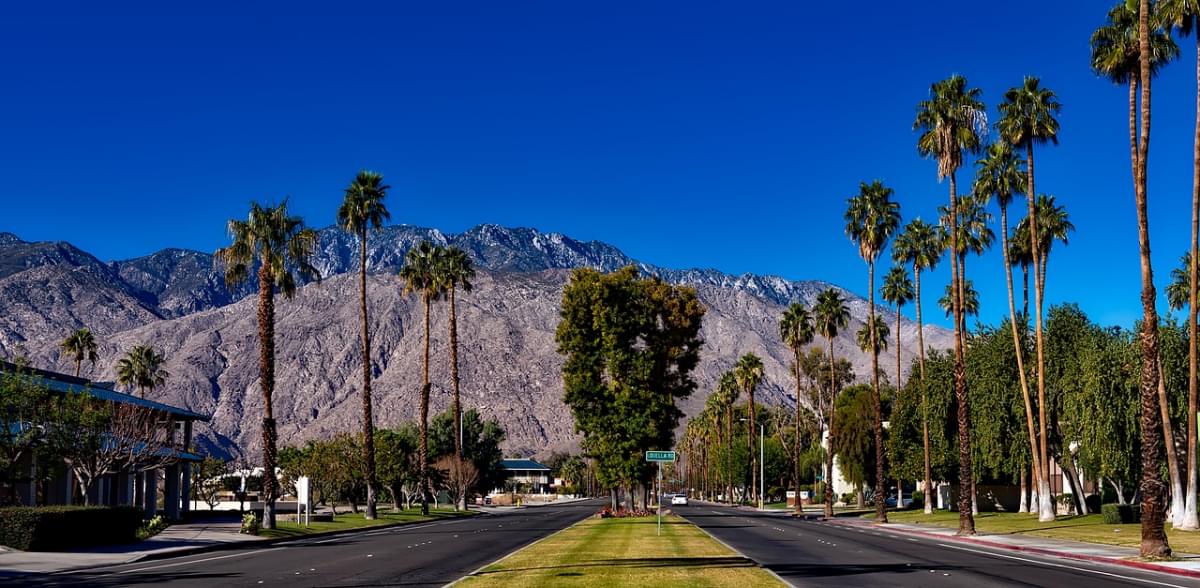 palm springs california palme