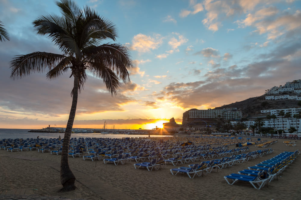 palma e lettini al tramonto a puerto rico beach a gran canaria spagna