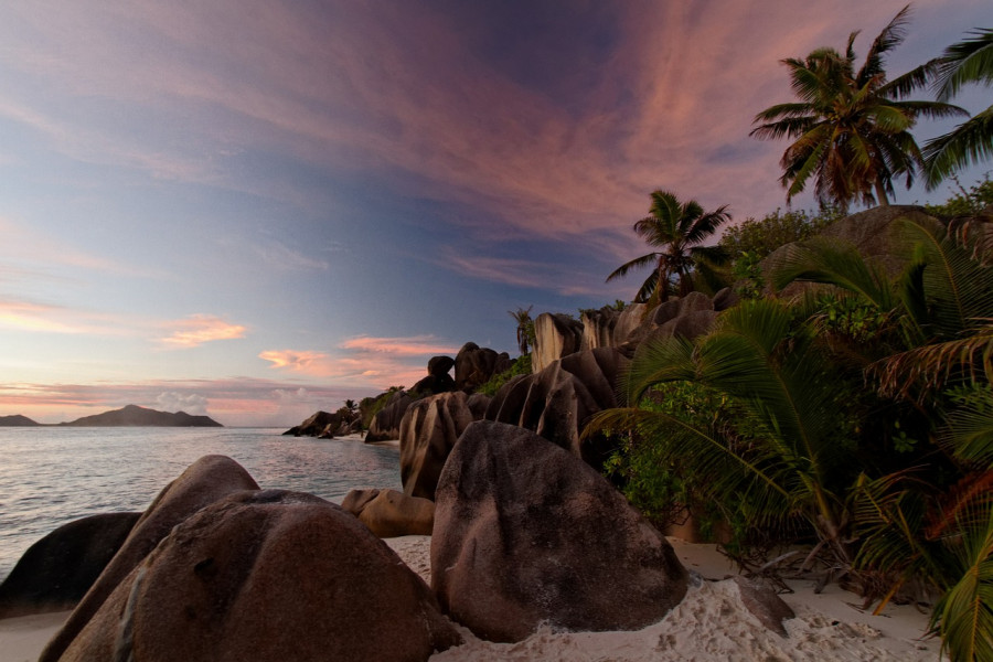 palme oceano tropicale tramonto