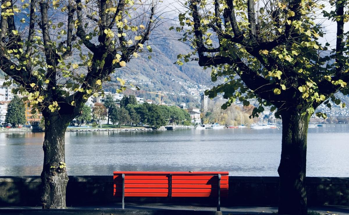 panchina svizzera lago alberi