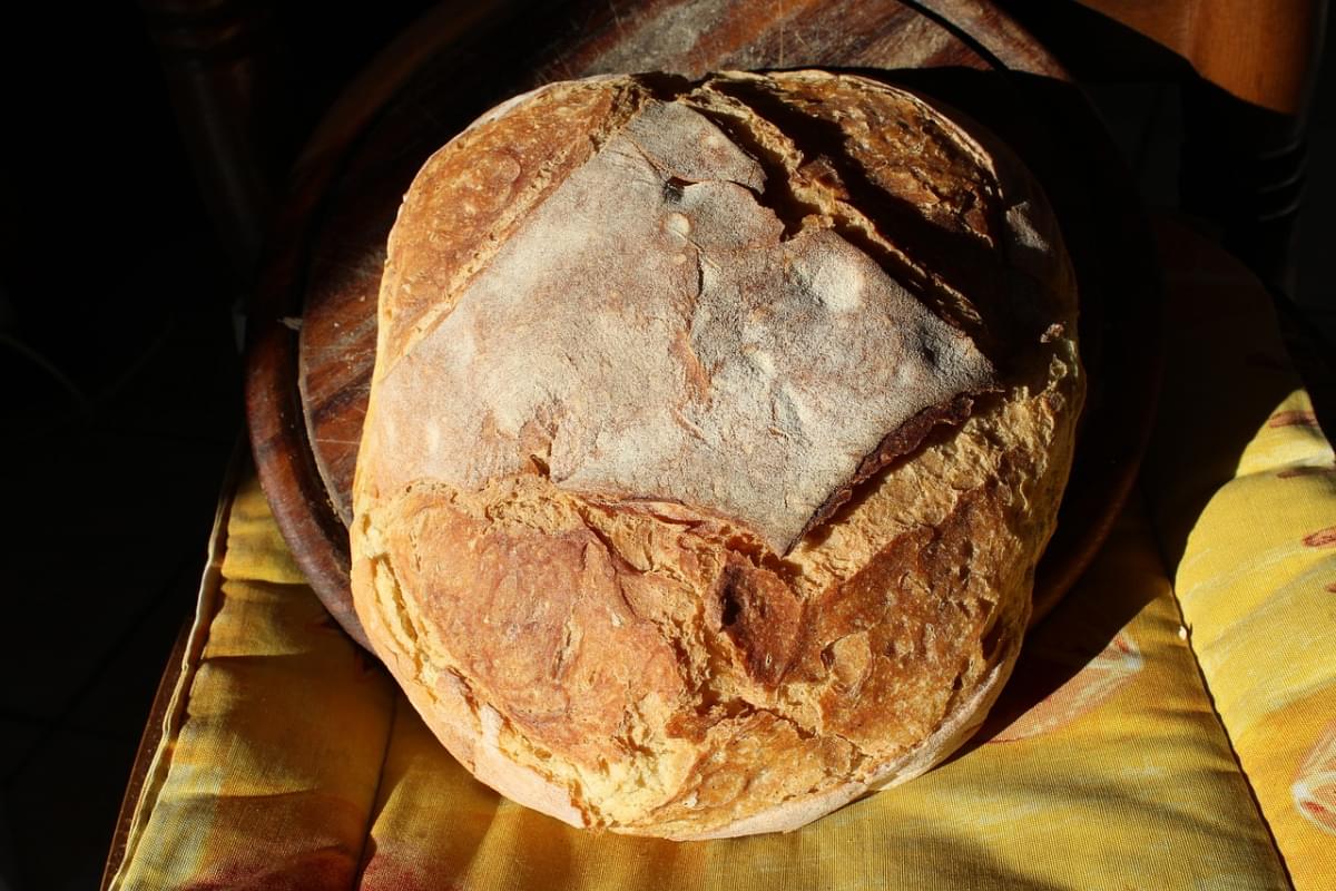 pane pagnotta pane di altamura 1