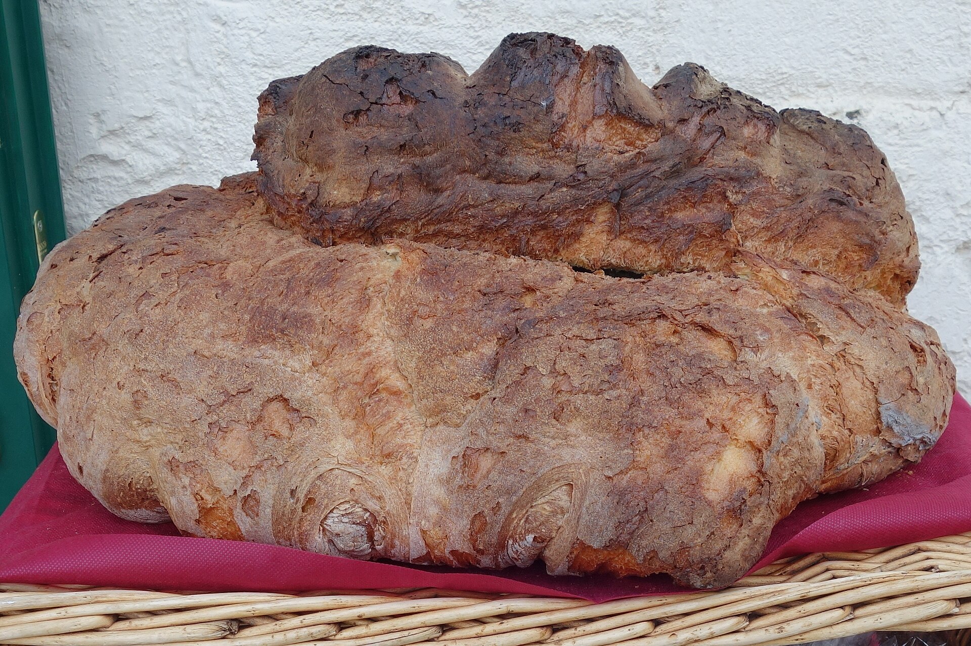 panedimatera cropped