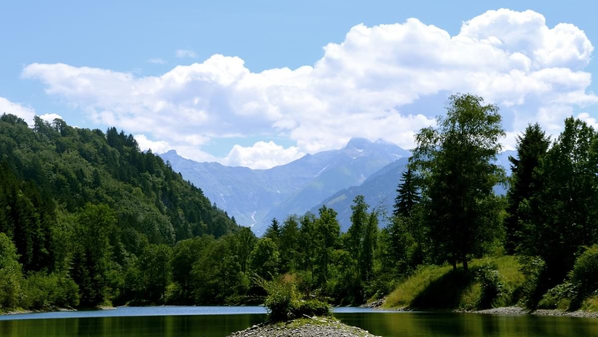 Auwaldsee Forest Lago Stagno